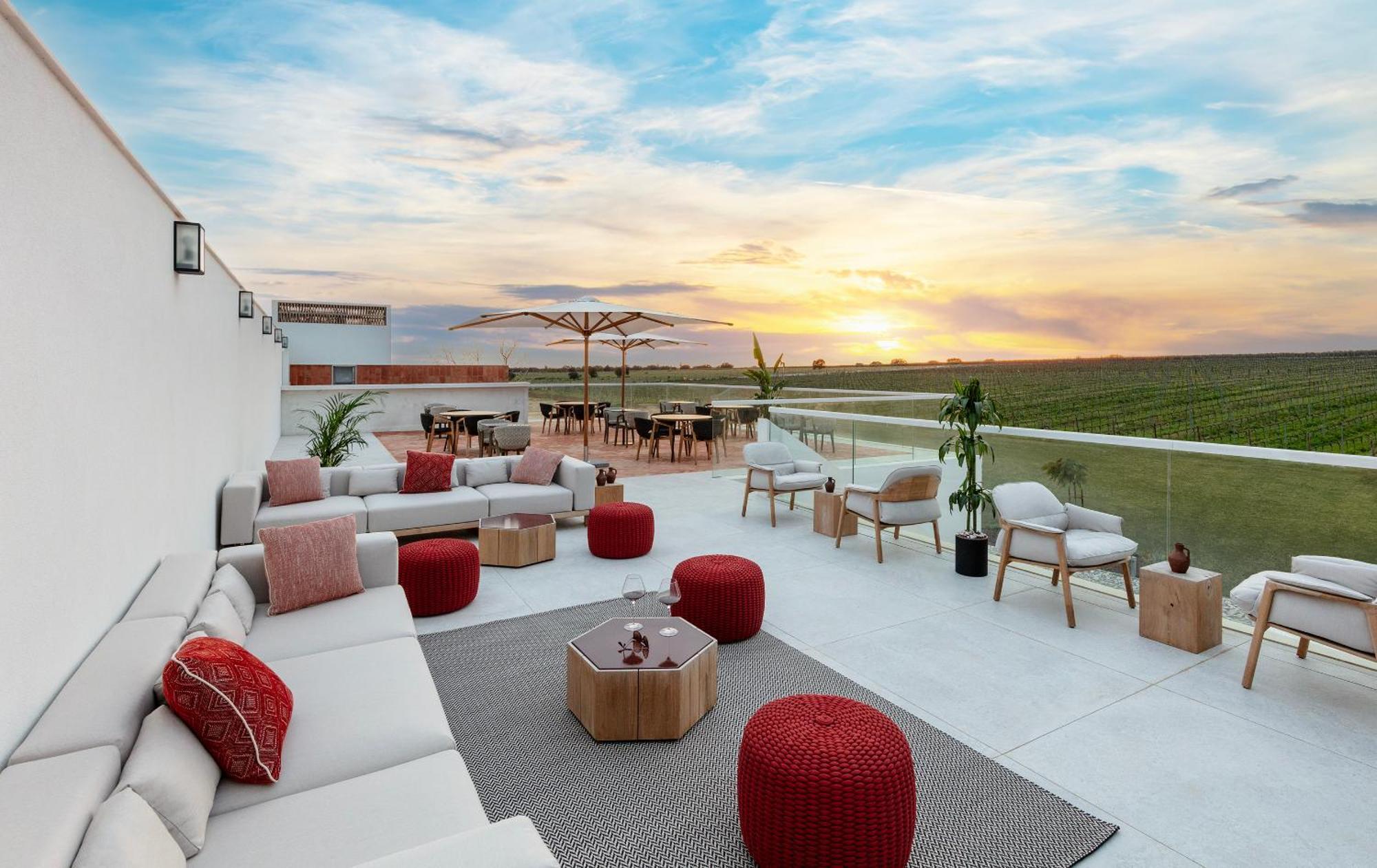 Quinta Do Paral - The Wine Hotel 비디게이라 외부 사진