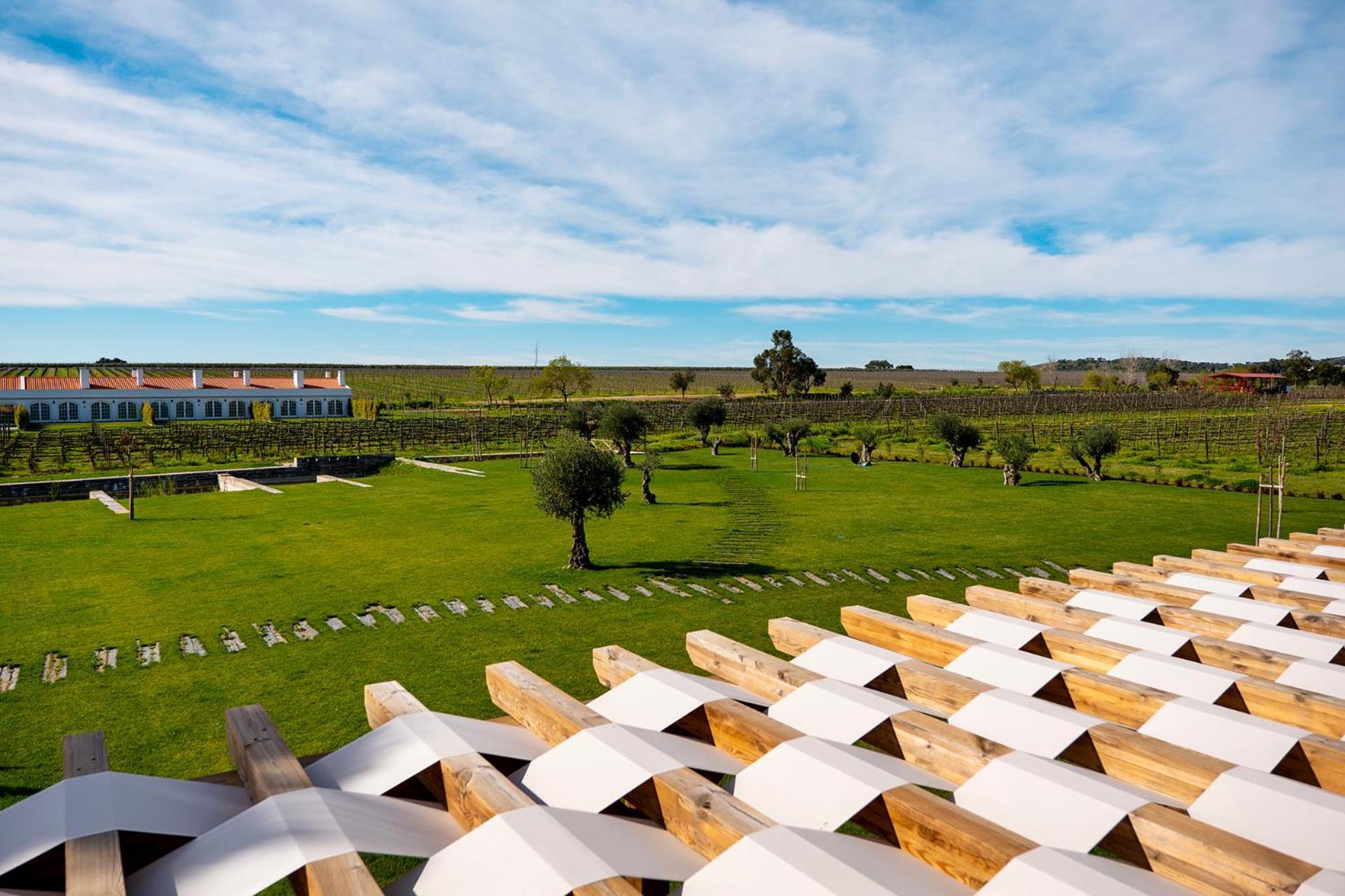 Quinta Do Paral - The Wine Hotel 비디게이라 외부 사진